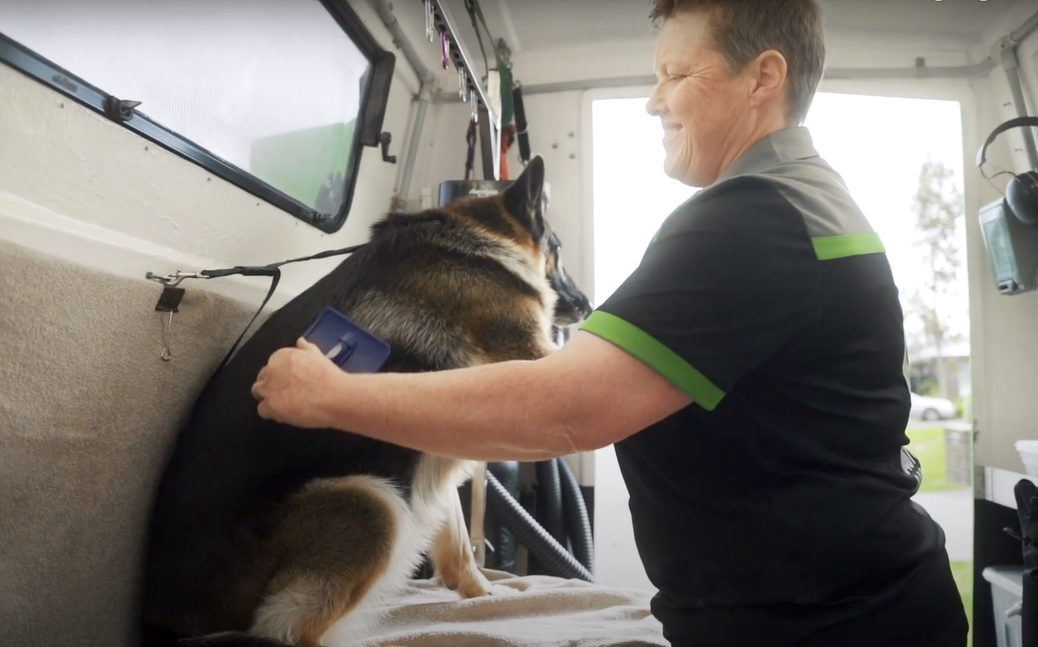 A dog receiving a full mobile grooming service